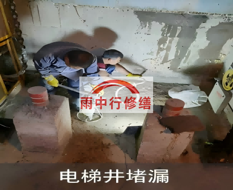 文昌星雨华府电梯井堵漏案例